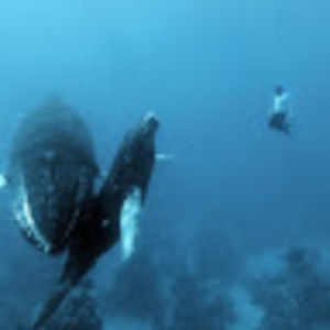 Meet your Posher, Ian